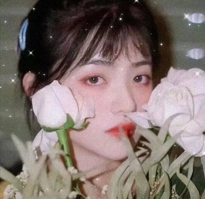 仙女教母